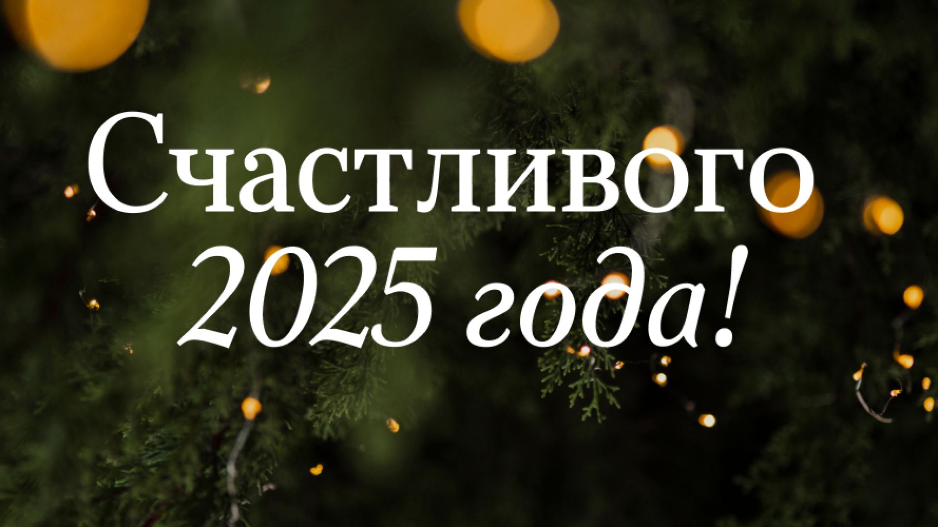 С Наступающим 2025 годом!